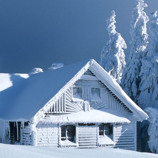 Contact Us » J TEAM CENTURY 21 SAULT STE. MARIE